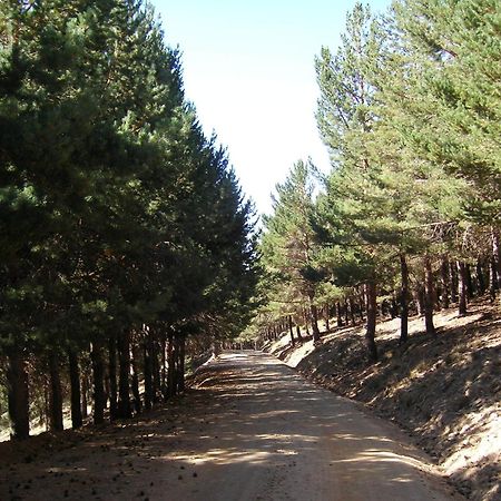 קפיליירה Hostal Rural Poqueira מראה חיצוני תמונה