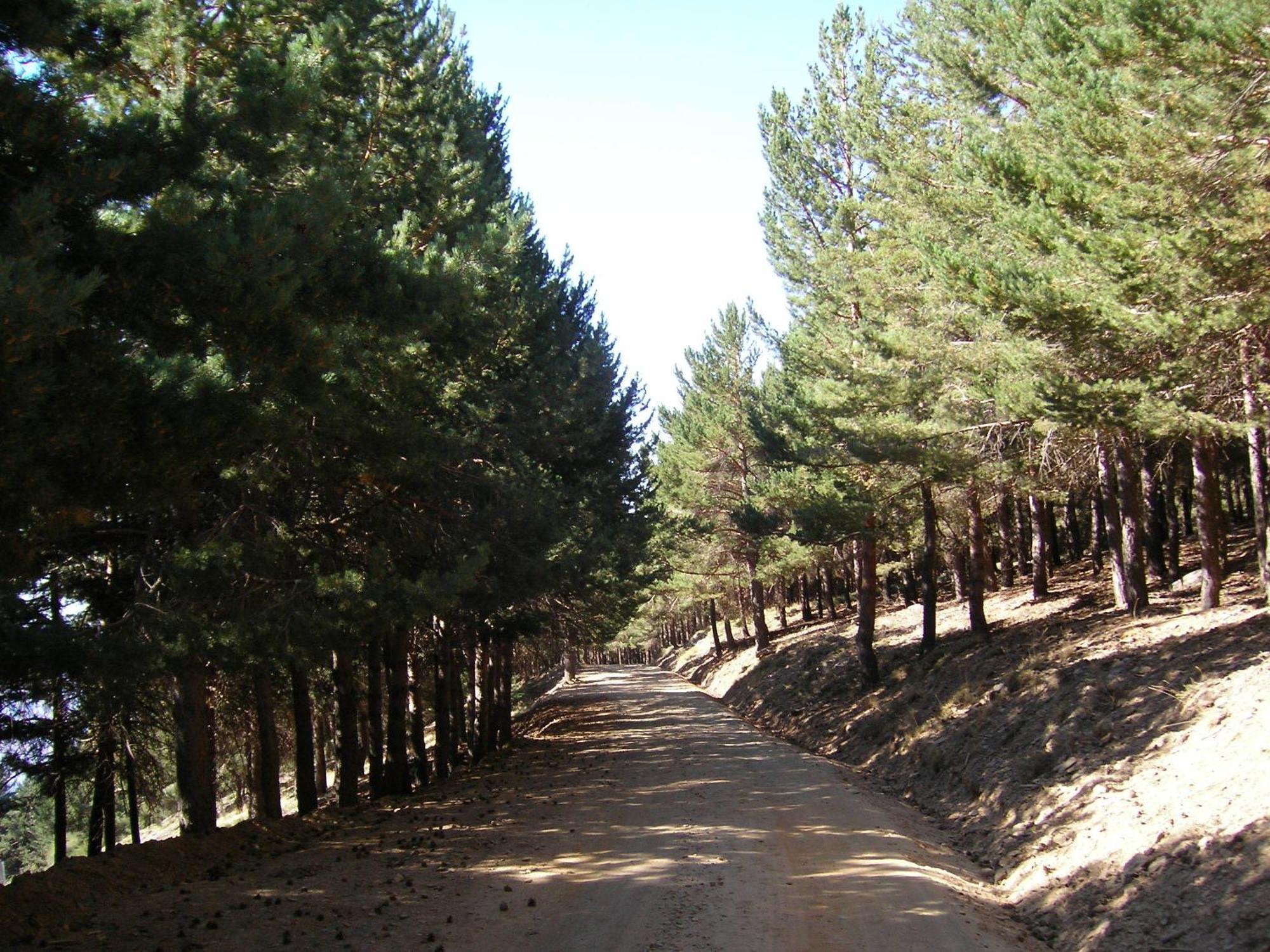 קפיליירה Hostal Rural Poqueira מראה חיצוני תמונה